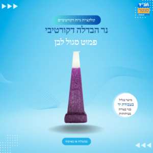 נר הבדלה דקורטיבי פמוט 'סגול לבן'