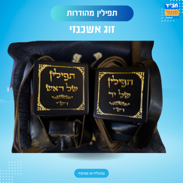 תפילין אשכנזי